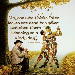 Meet your Posher, Doreen